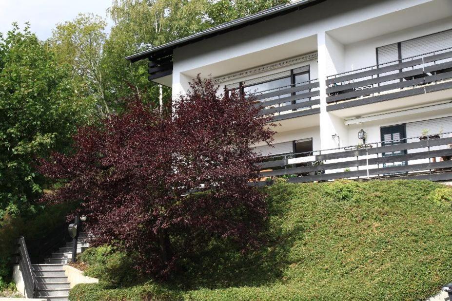 Appartement Maya Winterberg Kültér fotó
